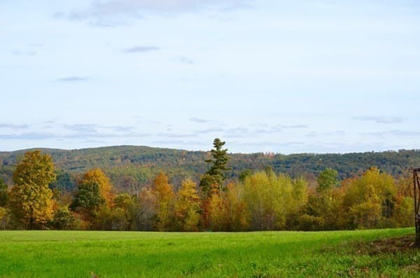 Lot B Paige Hill Road, Brimfield MA 01010