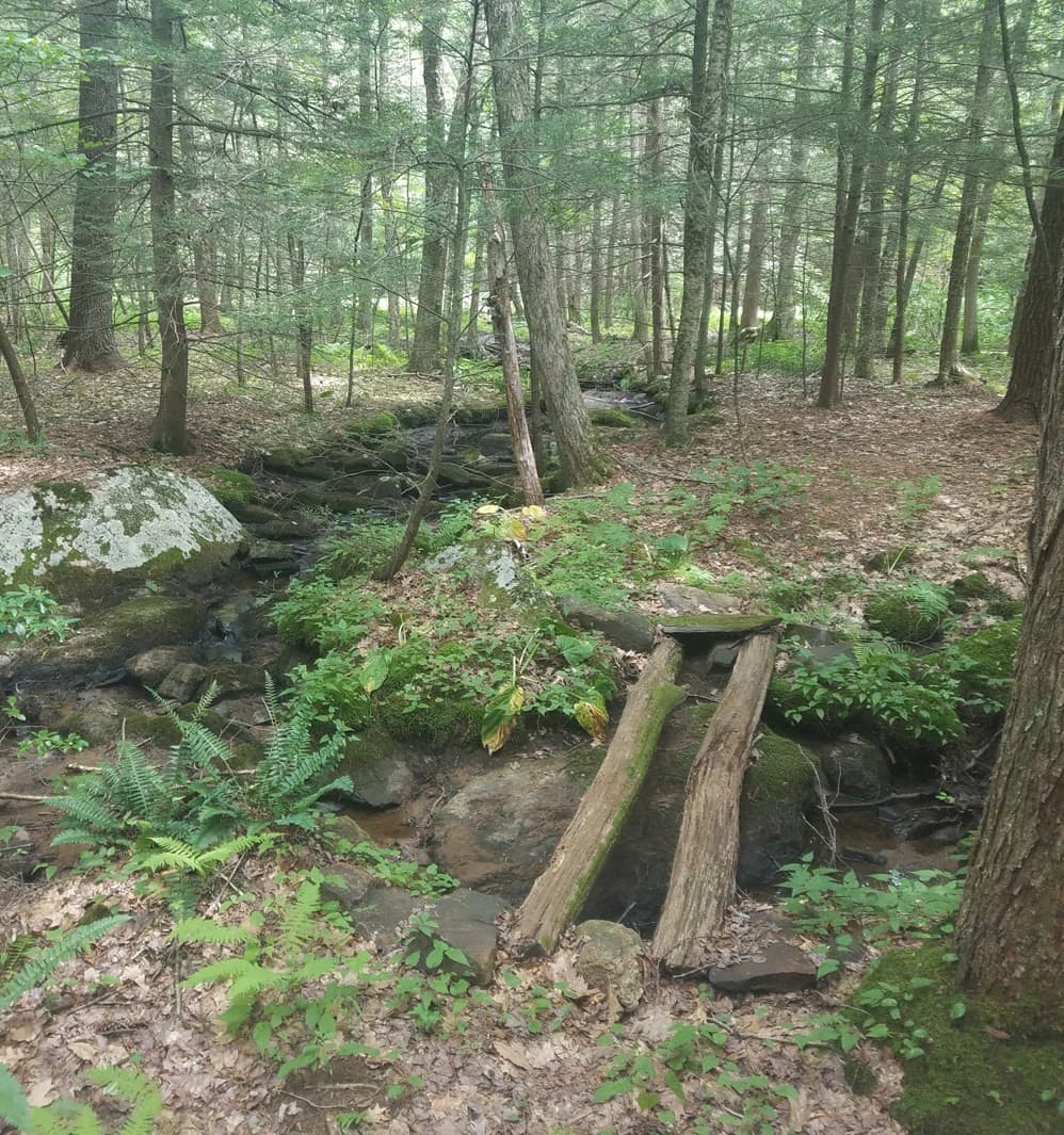 Residential at 266 Holland Rd, Sturbridge MA 01518, Sturbridge, photo 6 of 19