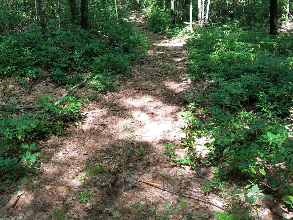 Residential at 266 Holland Rd, Sturbridge MA 01518, Sturbridge, photo 16 of 19