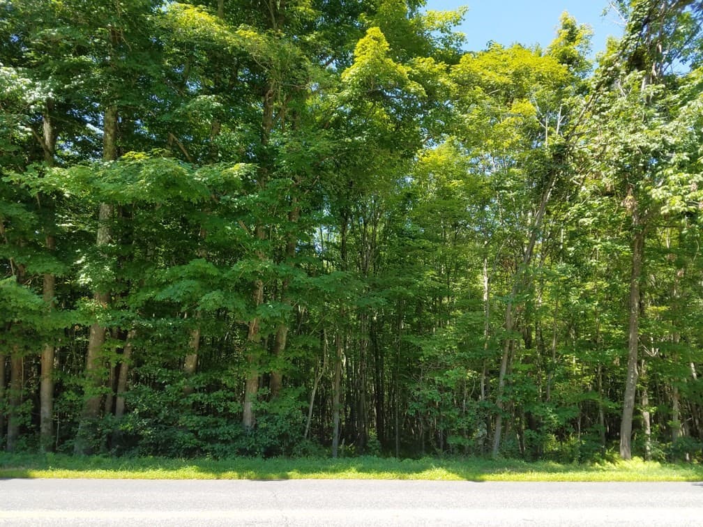 Residential at 266 Holland Rd, Sturbridge MA 01518, Sturbridge, photo 3 of 19