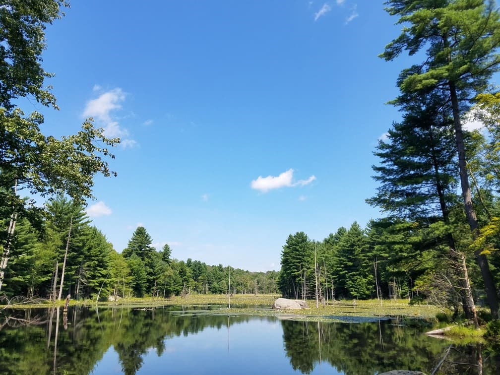 266 Holland Rd, Sturbridge MA 01518