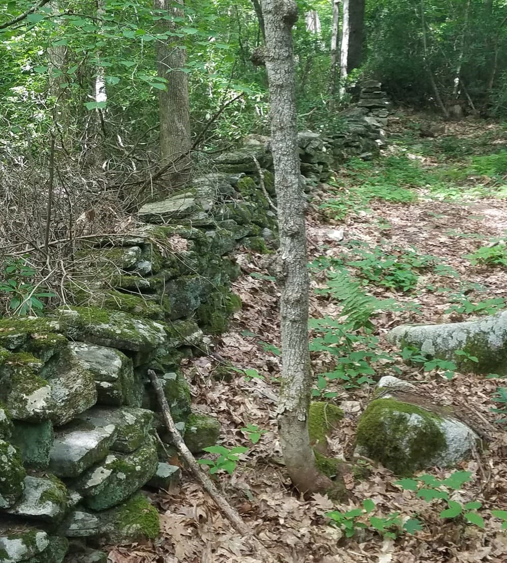 Residential at 266 Holland Rd, Sturbridge MA 01518, Sturbridge, photo 10 of 19