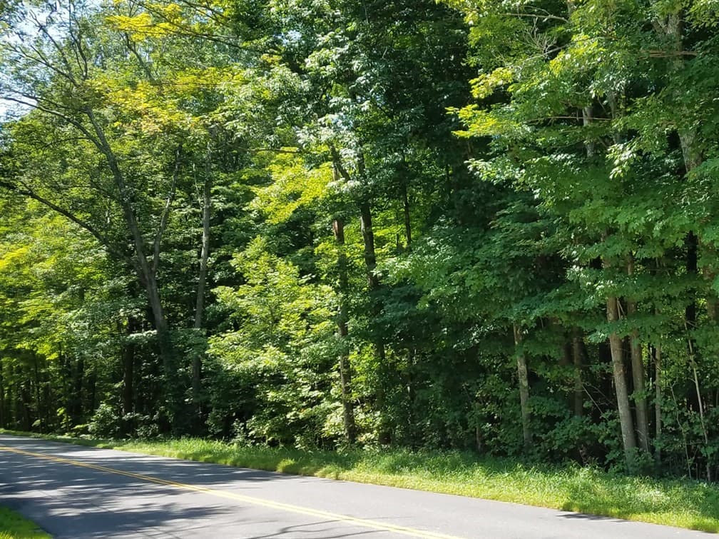 Residential at 266 Holland Rd, Sturbridge MA 01518, Sturbridge, photo 4 of 19