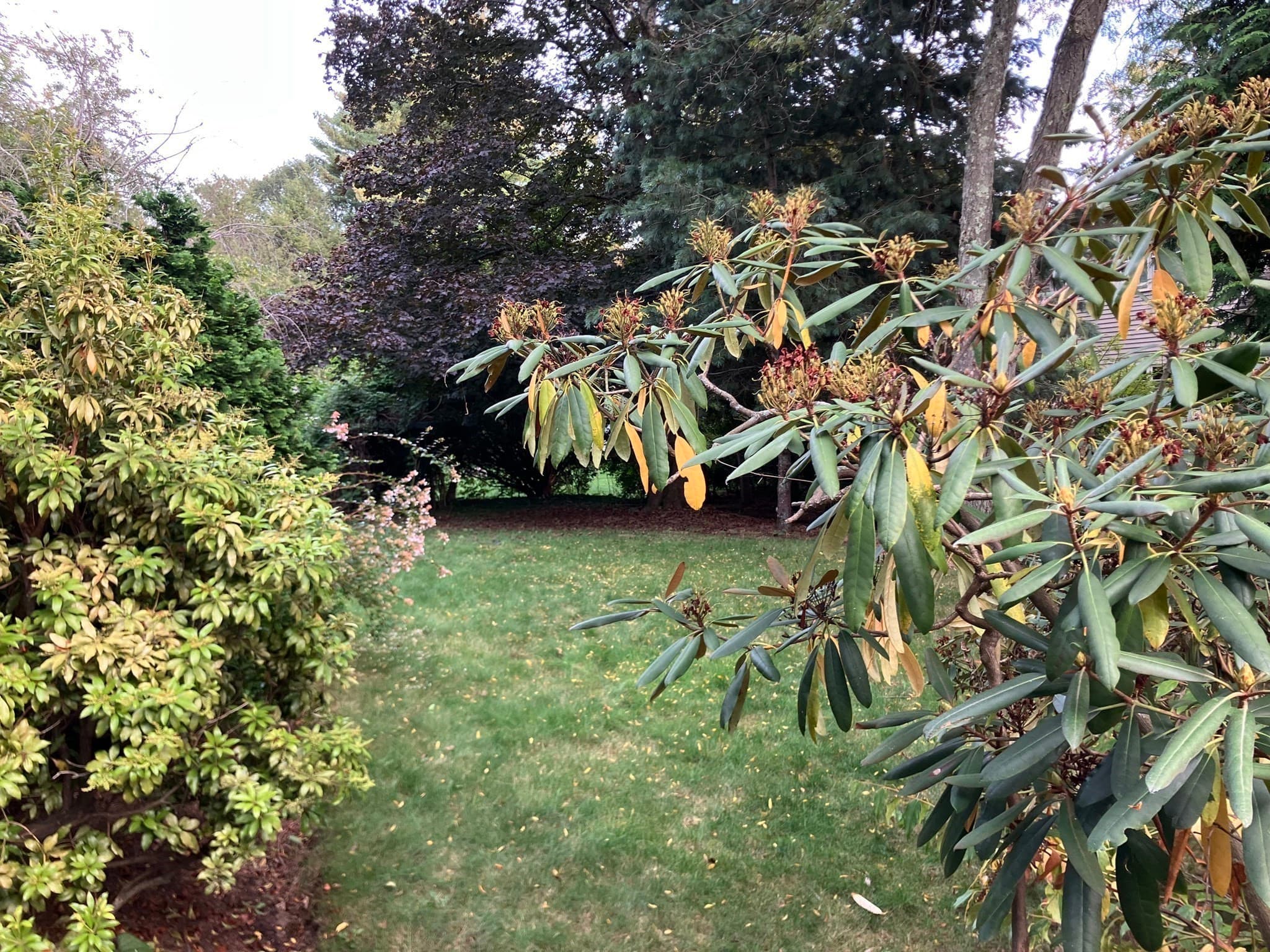 Residential at 0 Glenoe Rd, Brookline MA 02467, Brookline, photo 2 of 6