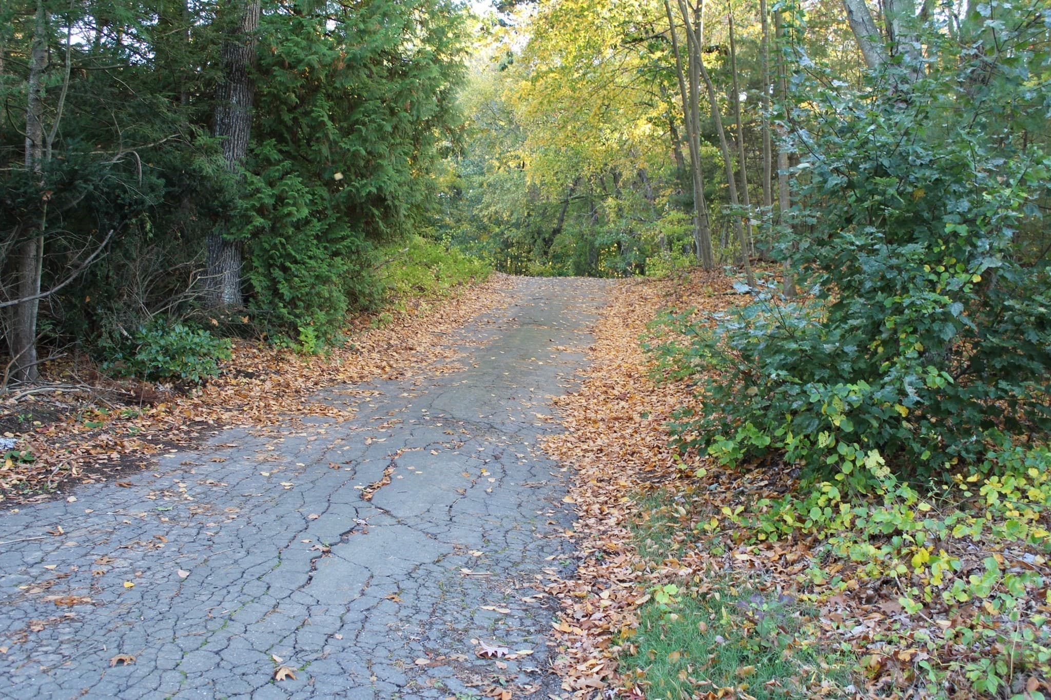 Residential at lot A North Street, Agawam MA 01030, photo 6 of 6