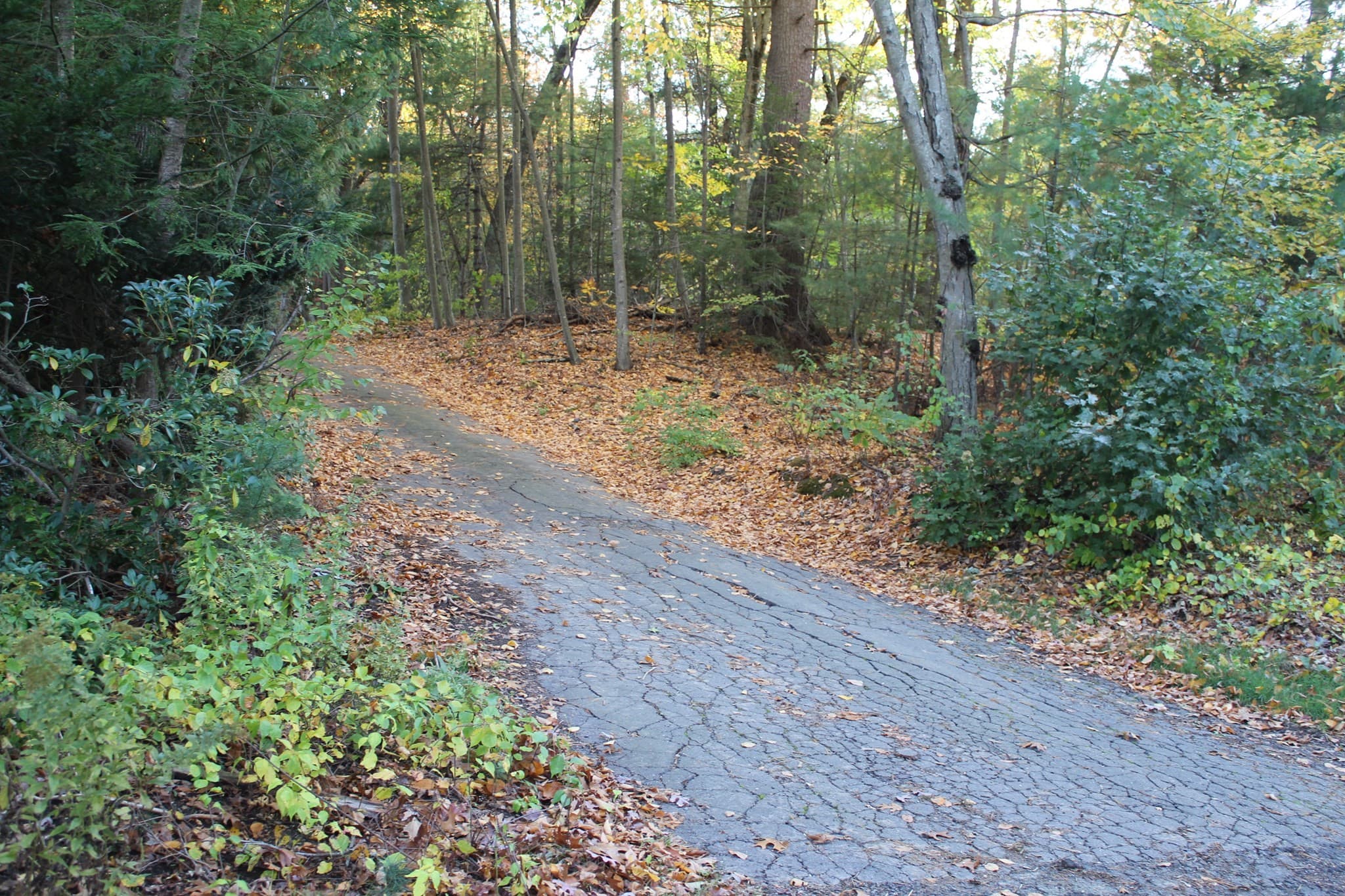lot A North Street, Agawam MA 01030