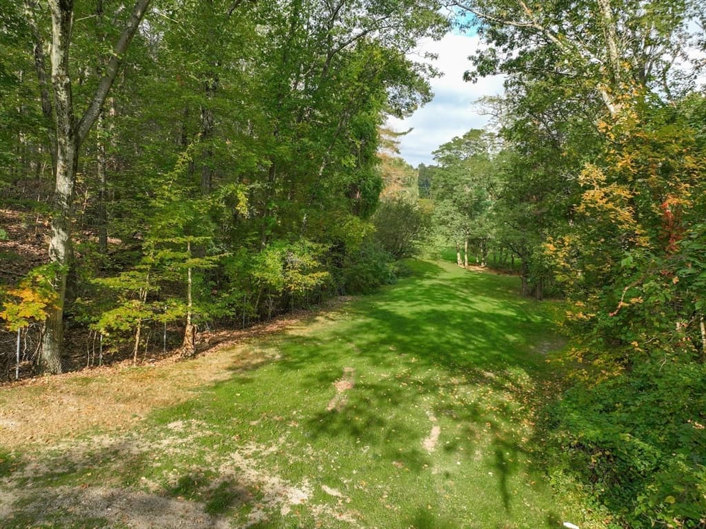 79 Goddard Avenue, Brookline MA 02445 photo 6