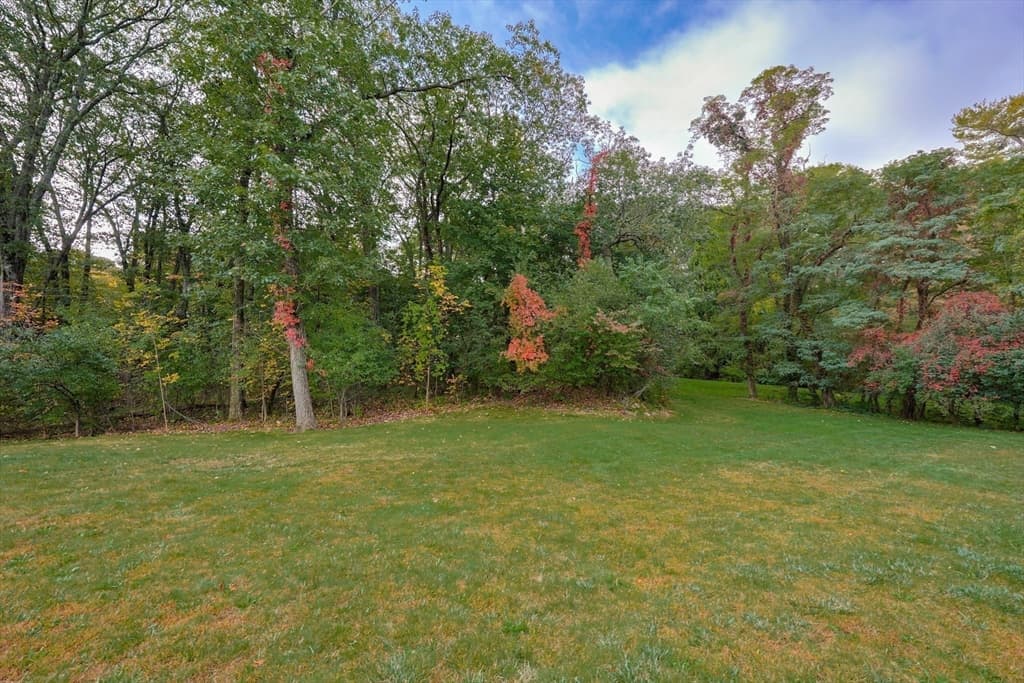 79 Goddard Avenue, Brookline MA 02445 photo 17