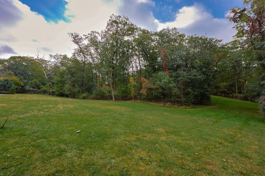 79 Goddard Avenue, Brookline MA 02445 photo 16