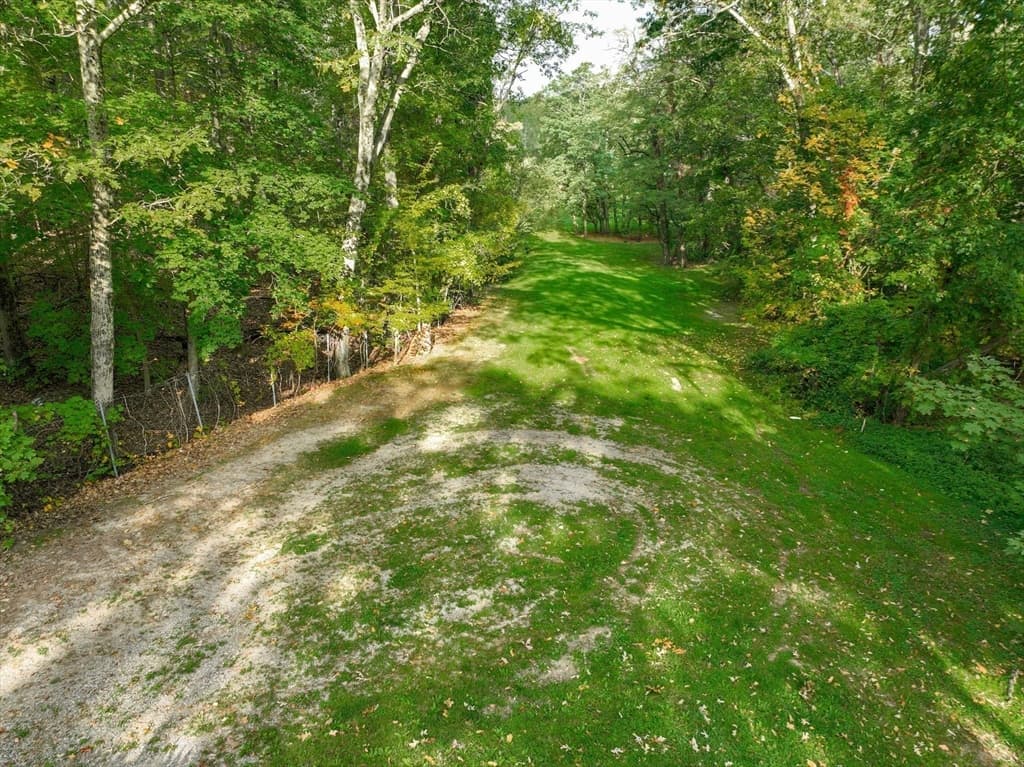 79 Goddard Avenue, Brookline MA 02445 photo 3