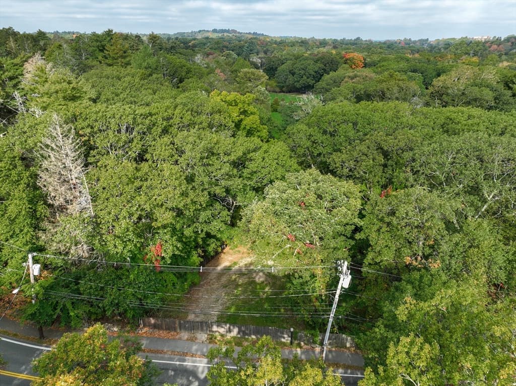 79 Goddard Avenue, Brookline MA 02445 photo 24