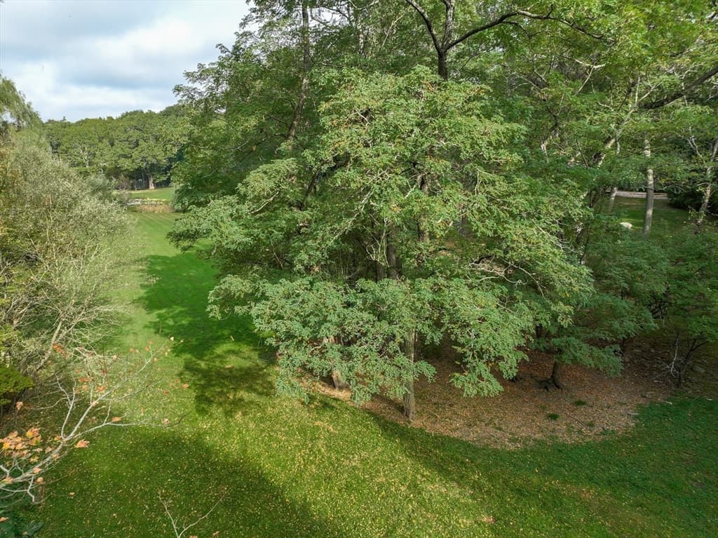 79 Goddard Avenue, Brookline MA 02445 photo 10