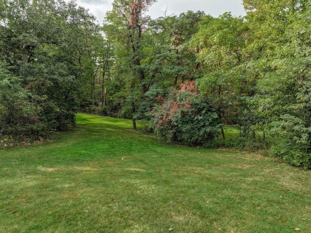 79 Goddard Avenue, Brookline MA 02445 photo 14