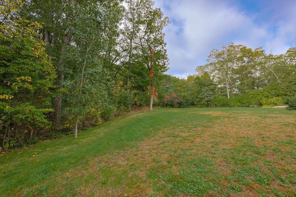 79 Goddard Avenue, Brookline MA 02445 photo 18