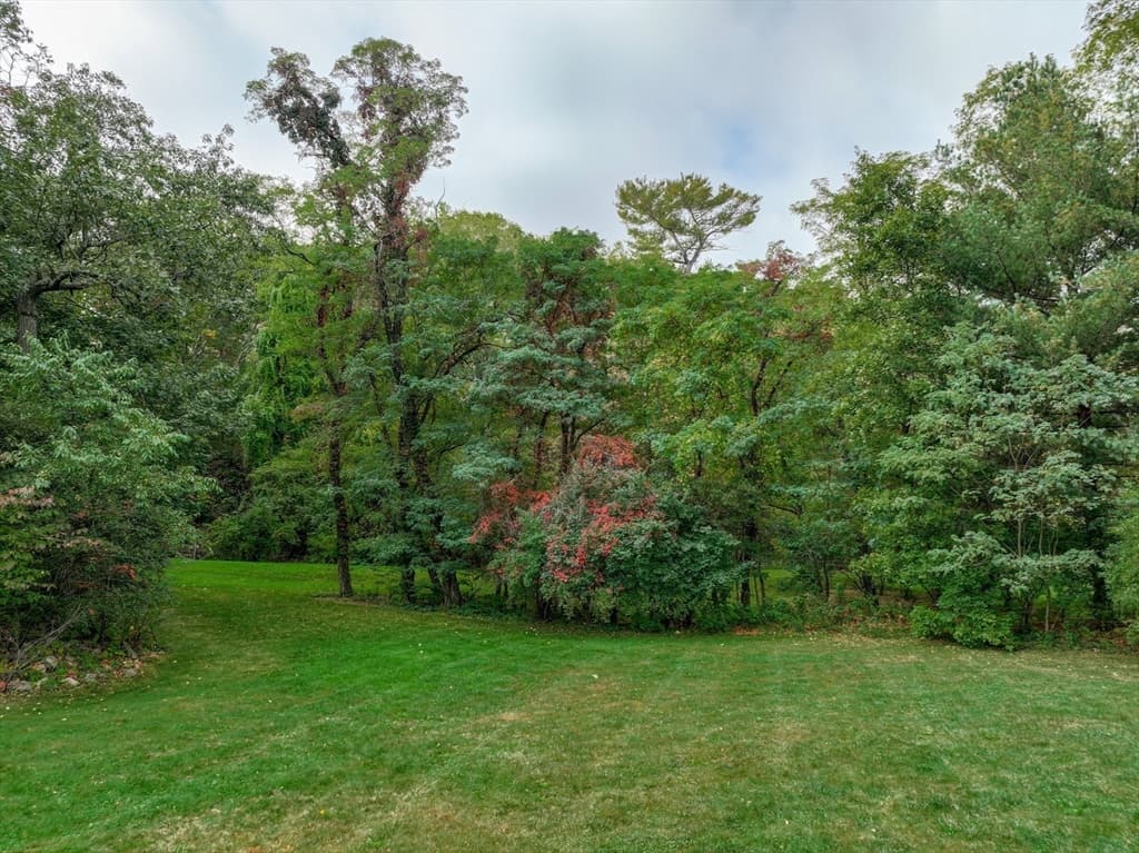 79 Goddard Avenue, Brookline MA 02445 photo 15
