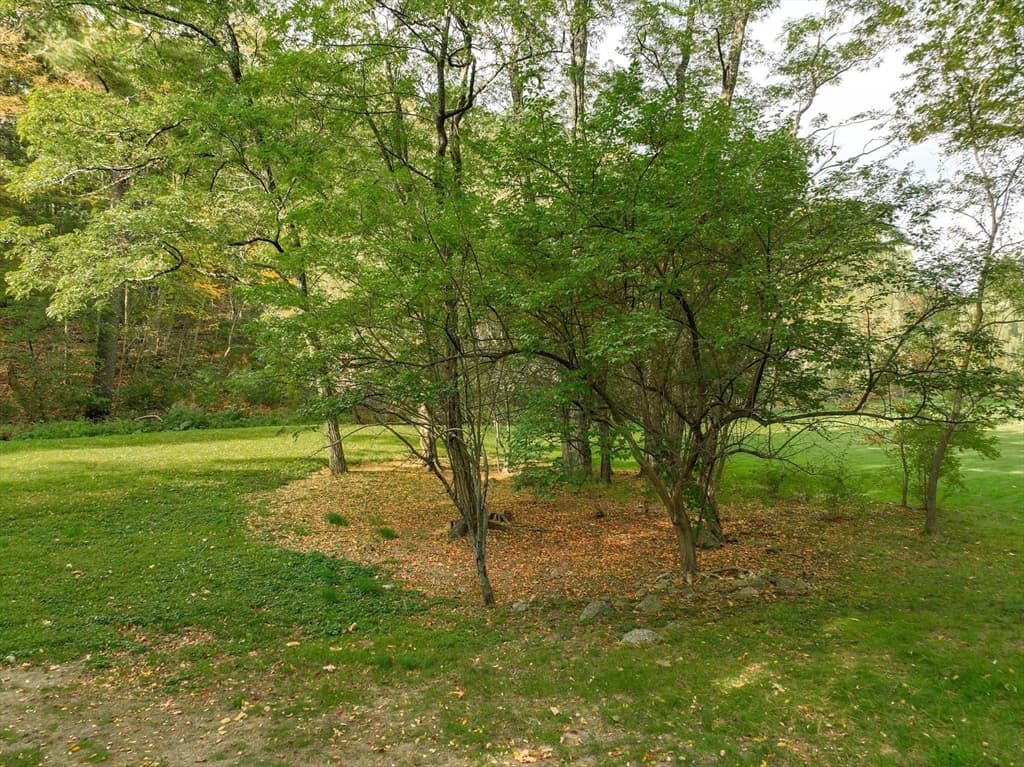 79 Goddard Avenue, Brookline MA 02445 photo 11