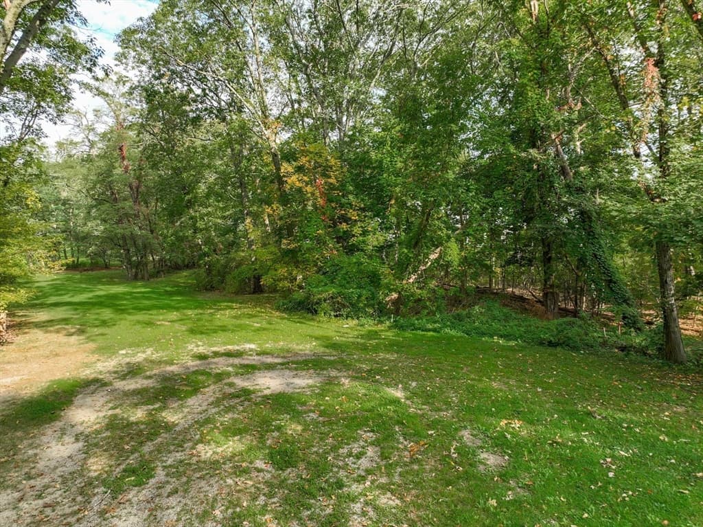 79 Goddard Avenue, Brookline MA 02445 photo 4