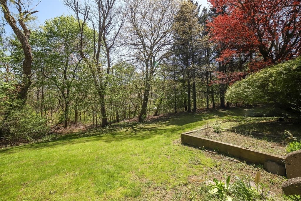 Single Family Residence at 97 Parkton Ave, Worcester MA 01605, photo 6 of 32