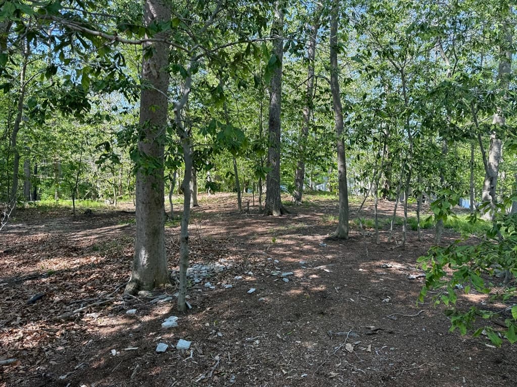 Residential at 108 Dudley Rd, Wayland MA 01778, photo 6 of 18