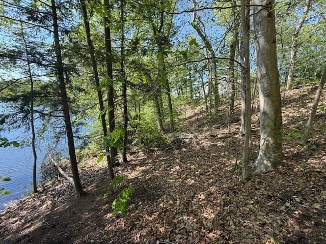 Residential at 108 Dudley Rd, Wayland MA 01778, photo 17 of 18