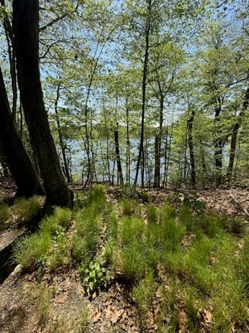 Residential at 108 Dudley Rd, Wayland MA 01778, photo 16 of 18
