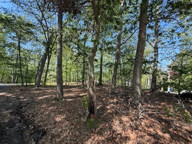 Residential at 108 Dudley Rd, Wayland MA 01778, photo 12 of 18