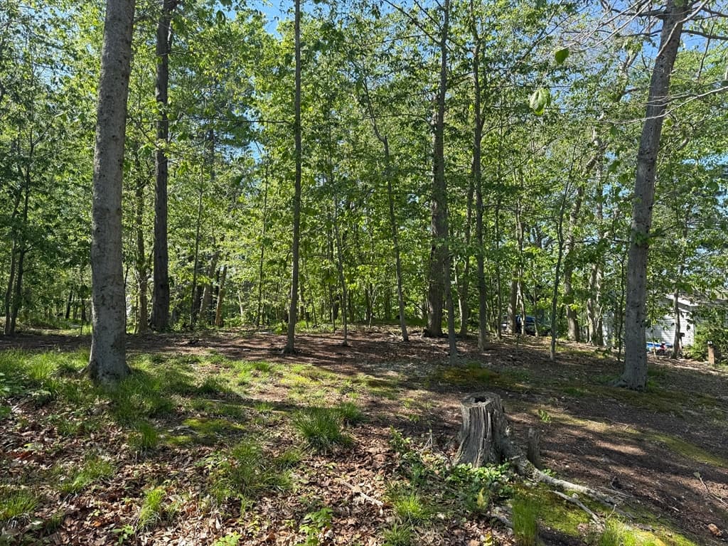 Residential at 108 Dudley Rd, Wayland MA 01778, photo 5 of 18