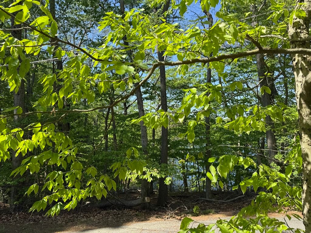 Residential at 108 Dudley Rd, Wayland MA 01778, photo 4 of 18