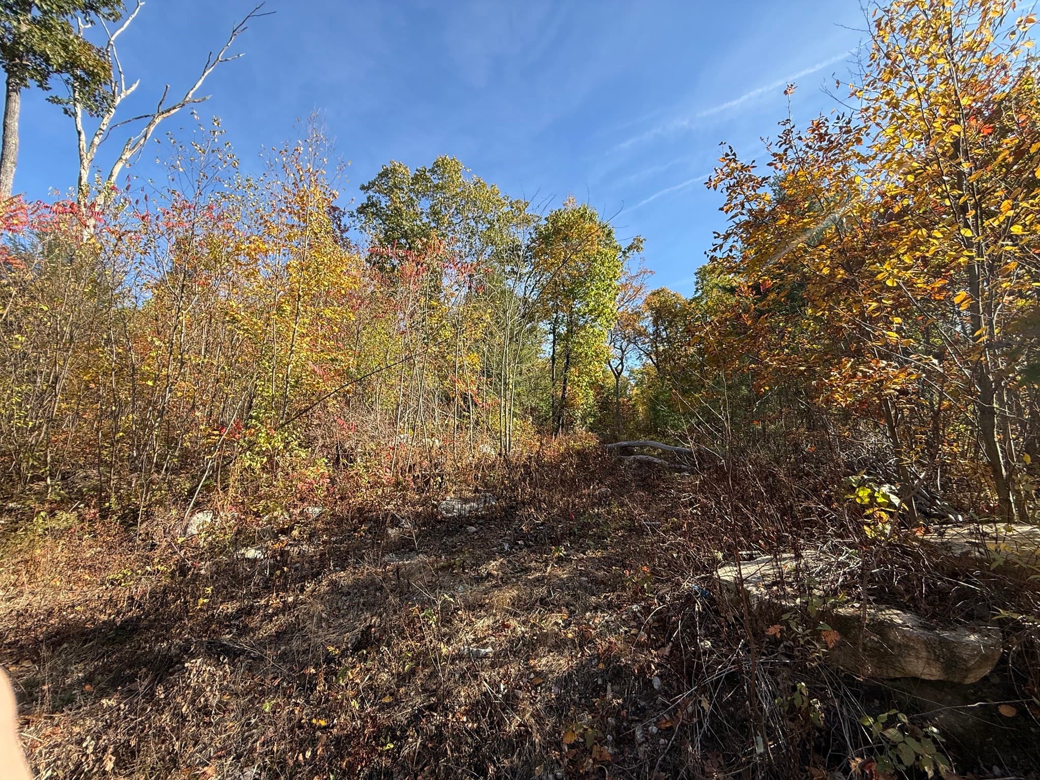 Residential at Lot 1 Amherst Rd., Belchertown MA 01007, photo 2 of 5