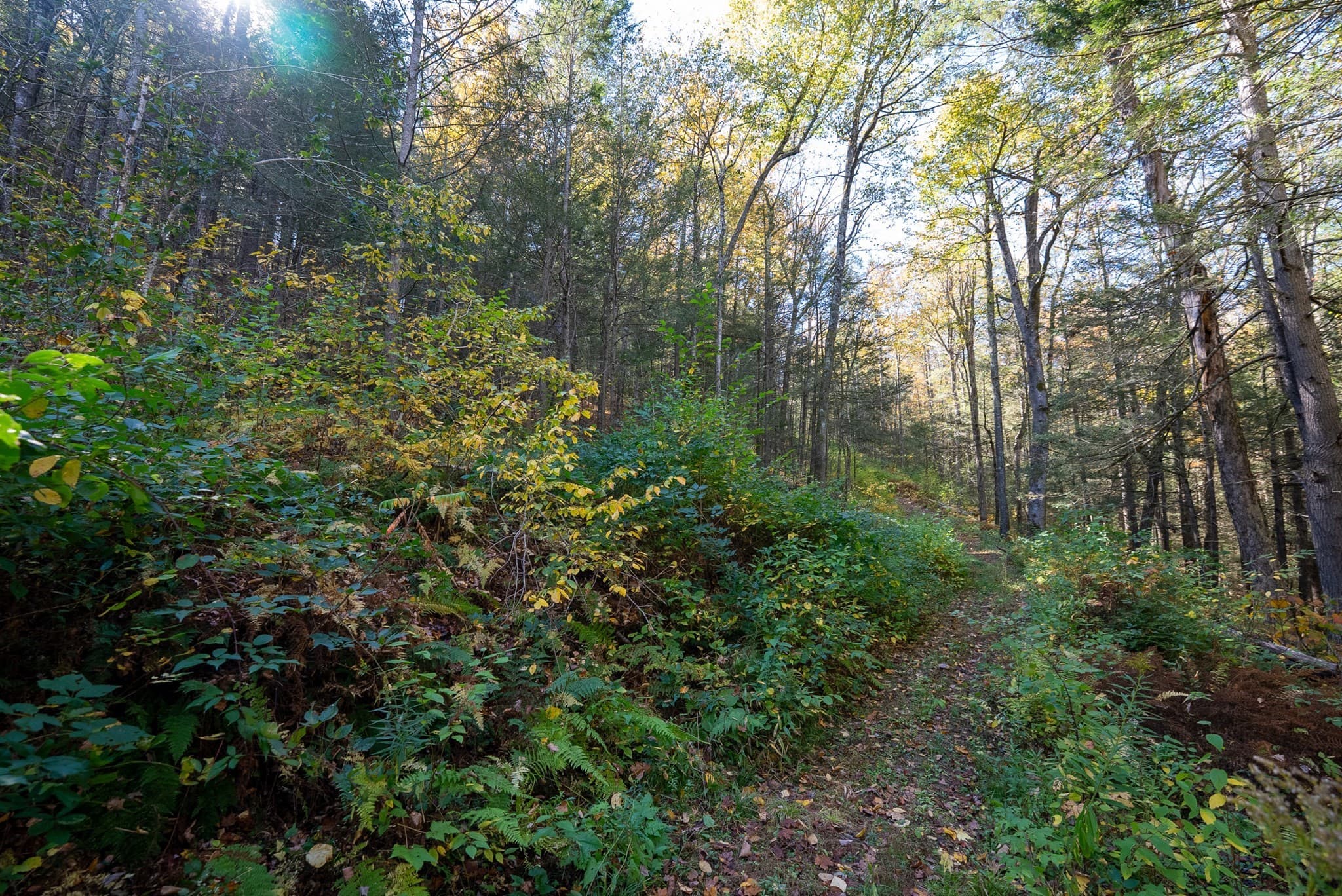 Non-Buildable at 0 Lakeville Dam Road, Huntington MA 01050, photo 8 of 9