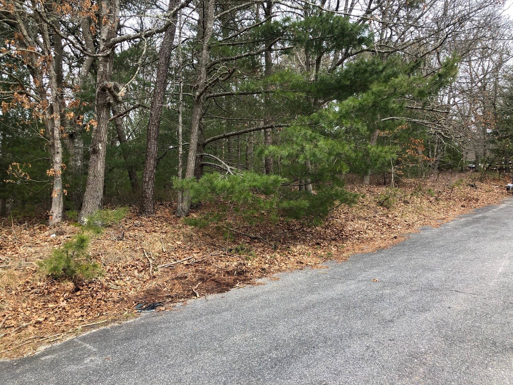 Residential at 30 Wings Ln, Barnstable MA 02635, photo 3 of 6