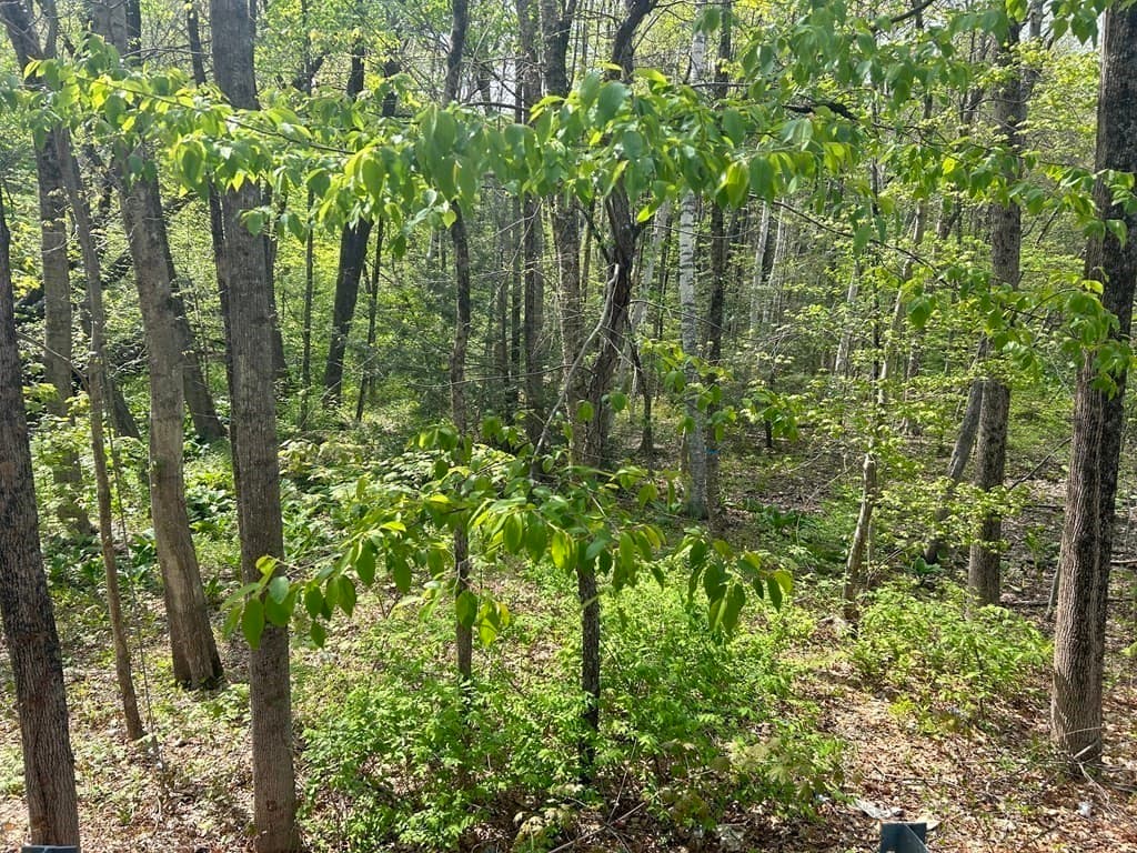 0 Parker Rd, Lancaster MA 01561