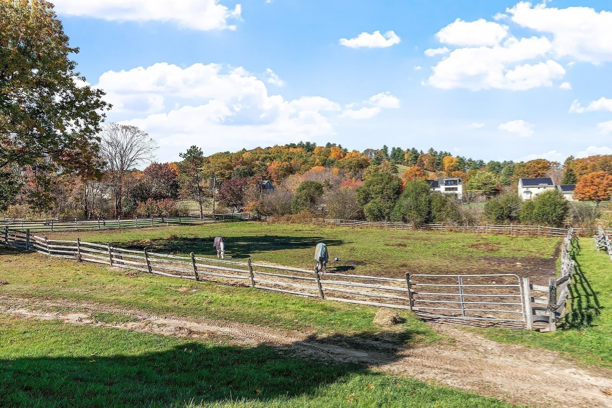 Equestrian at 84 Powers Rd, Westford MA 01886, photo 23 of 42