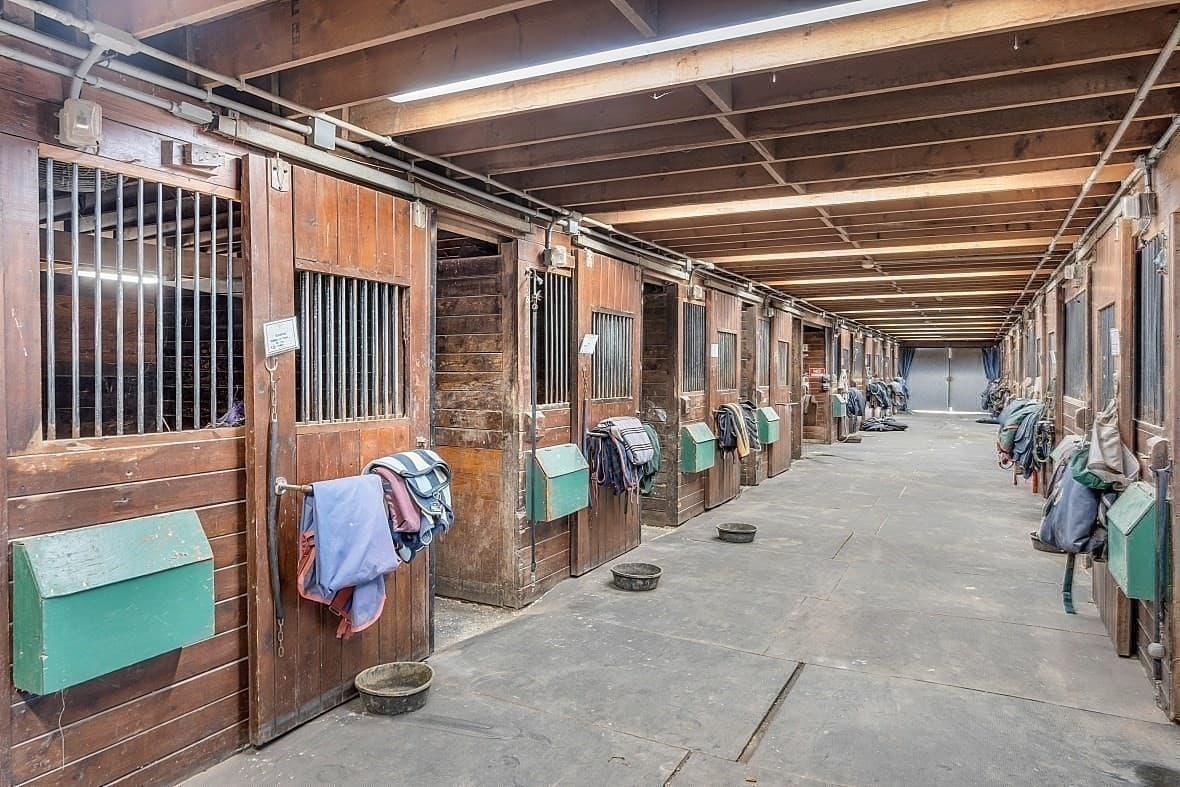 Equestrian at 84 Powers Rd, Westford MA 01886, photo 17 of 42