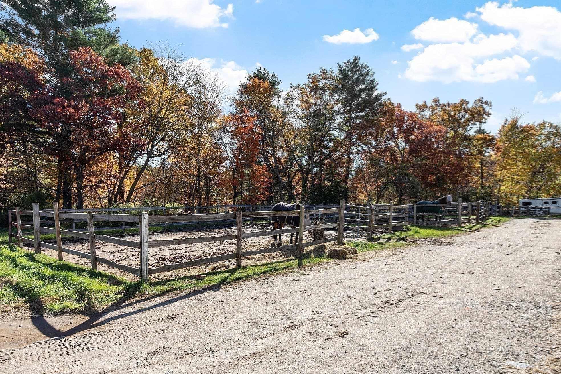 Equestrian at 84 Powers Rd, Westford MA 01886, photo 32 of 42