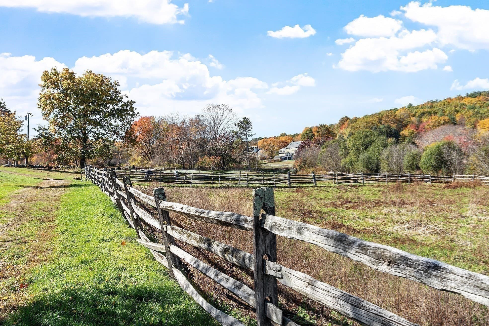 Equestrian at 84 Powers Rd, Westford MA 01886, photo 24 of 42