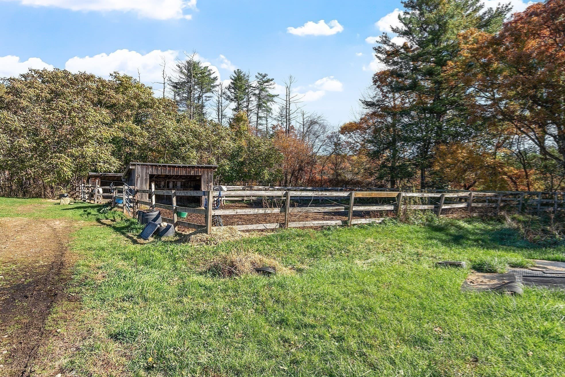 Equestrian at 84 Powers Rd, Westford MA 01886, photo 30 of 42