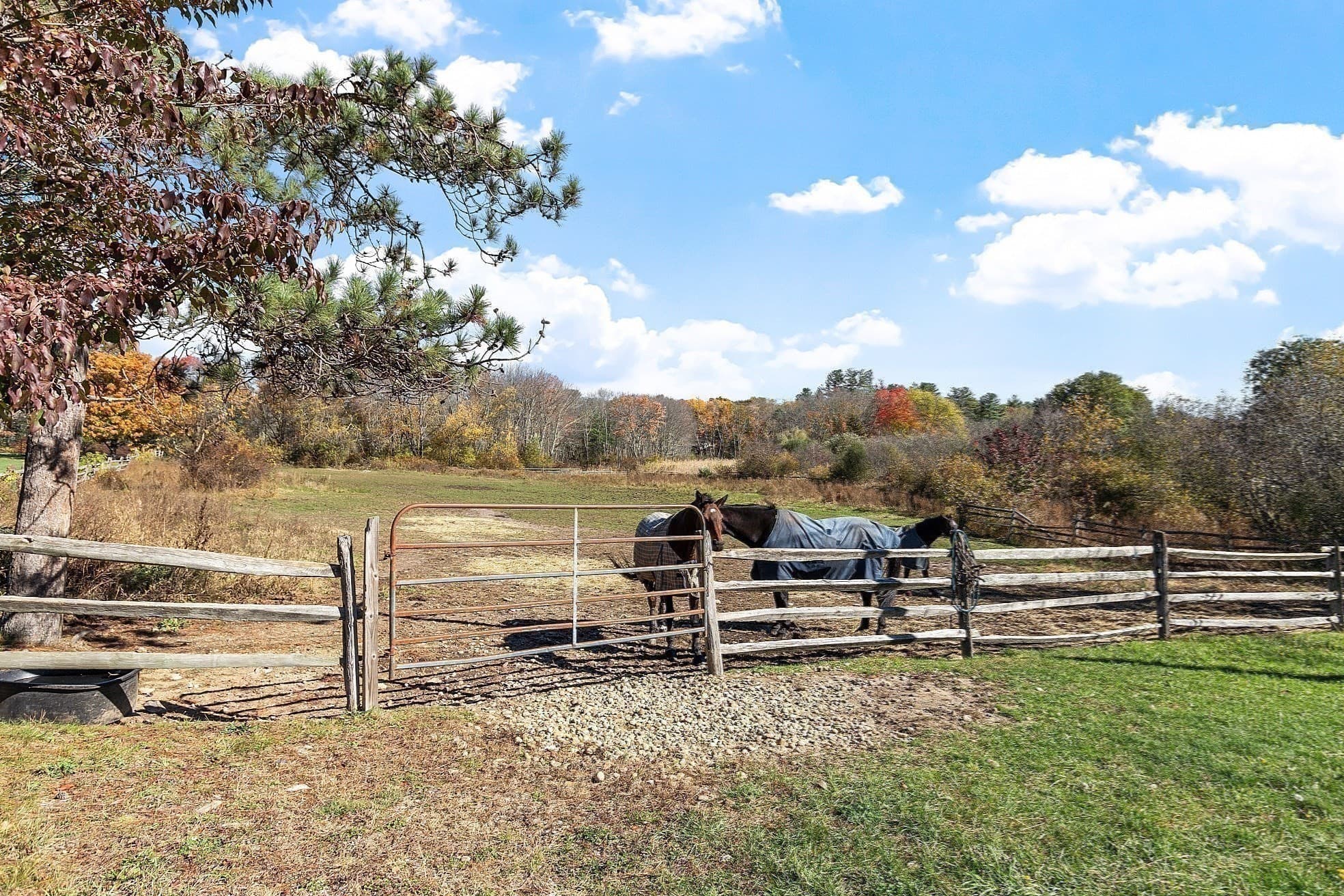 Equestrian at 84 Powers Rd, Westford MA 01886, photo 41 of 42