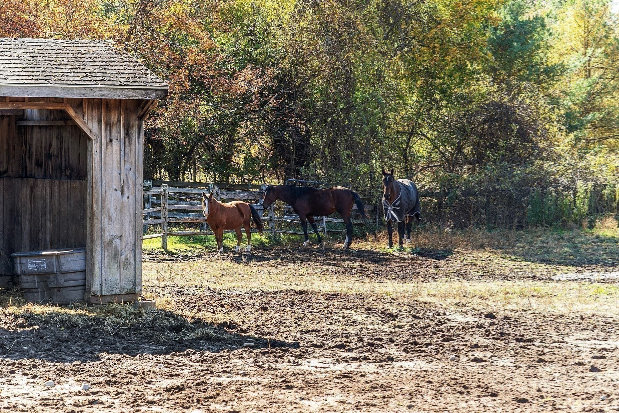 Equestrian at 84 Powers Rd, Westford MA 01886, photo 31 of 42