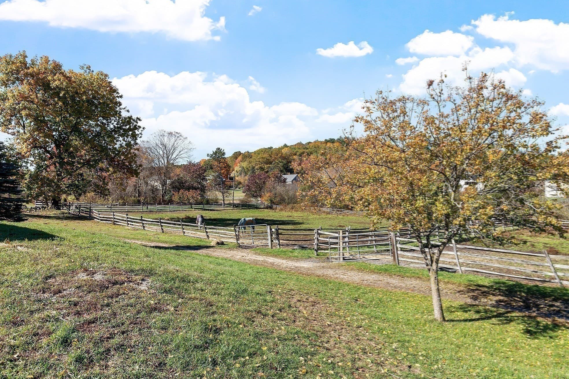 Equestrian at 84 Powers Rd, Westford MA 01886, photo 25 of 42