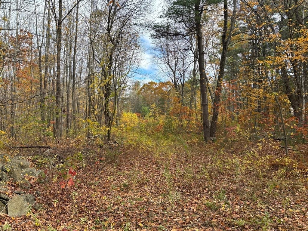 Lot 3 Clapp Road, Hardwick MA 01037 photo 4