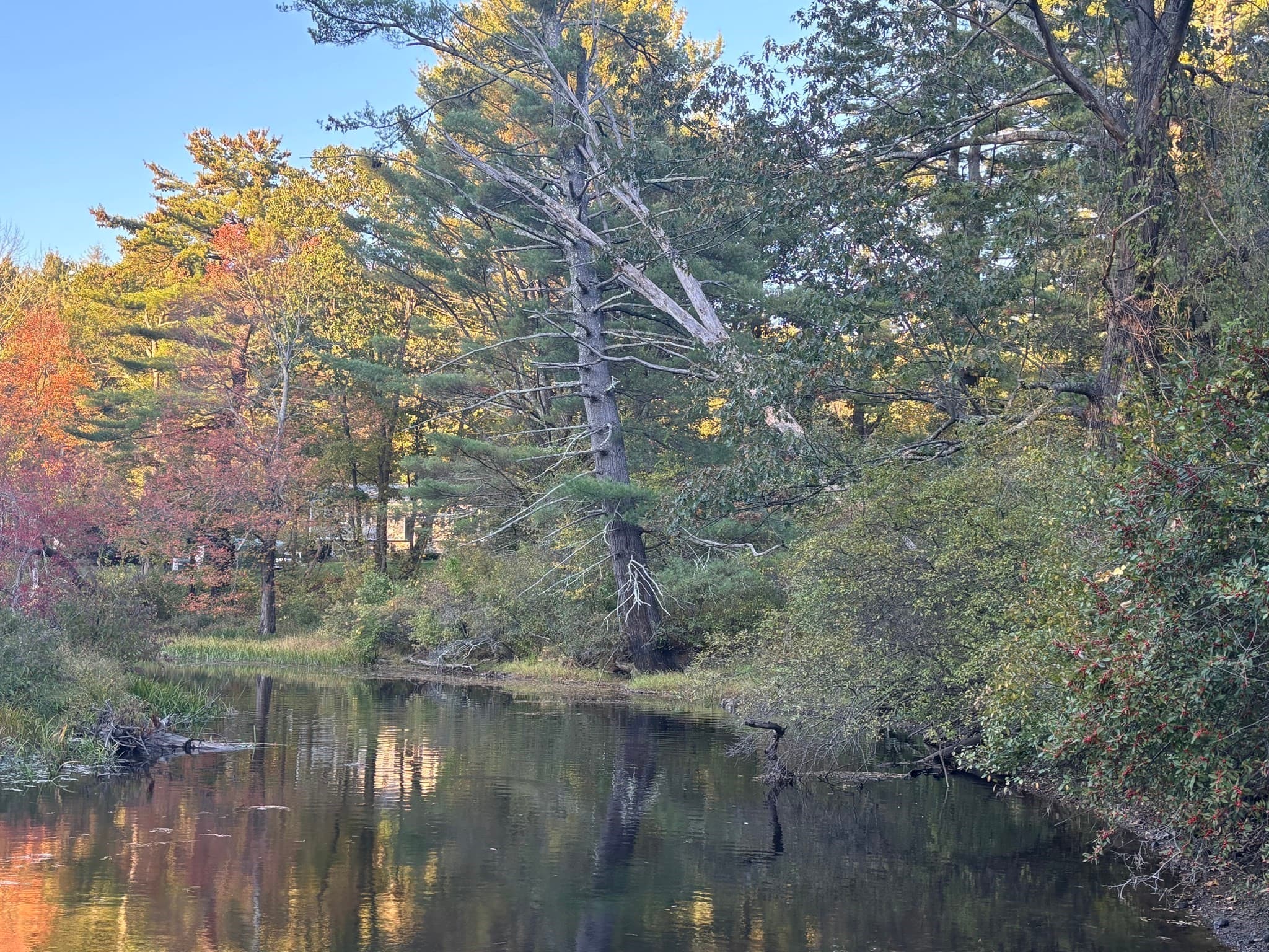 9 Howarth Rd, Oxford MA 01540