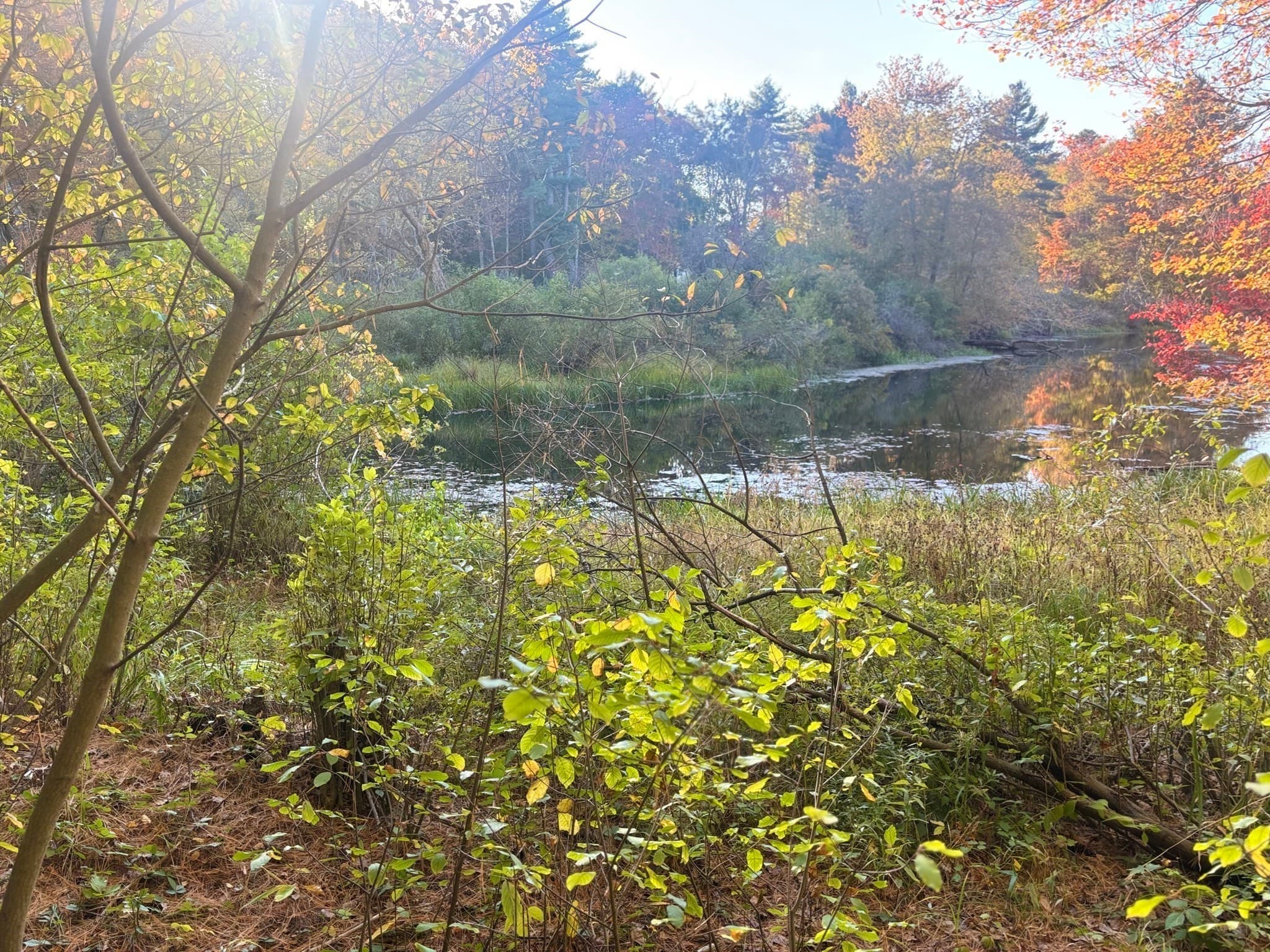 Residential at 9 Howarth Rd, Oxford MA 01540, photo 10 of 42