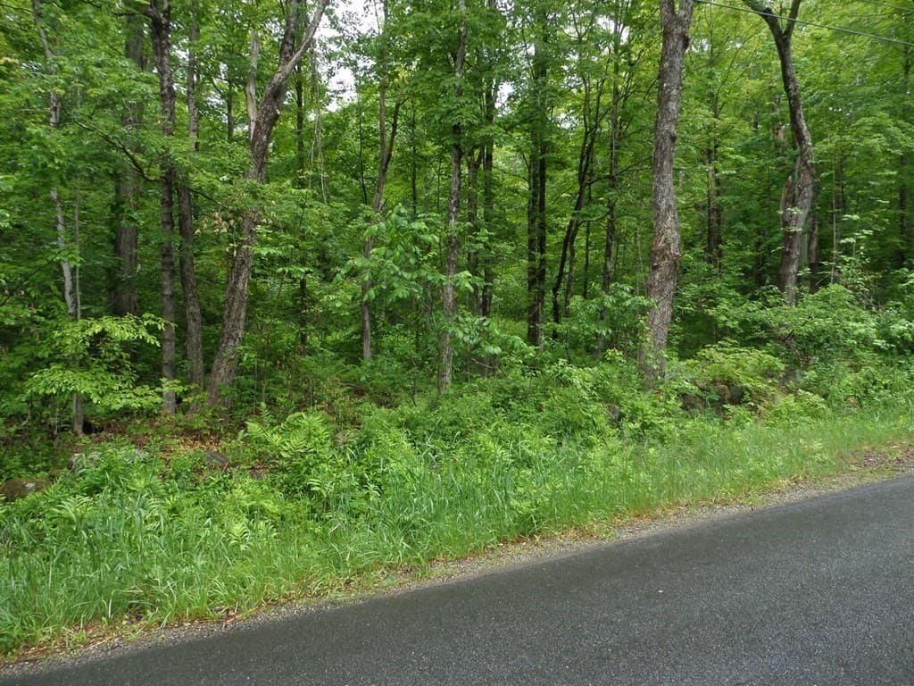 333 Ranney Corner Rd, Ashfield MA 01330 photo 9
