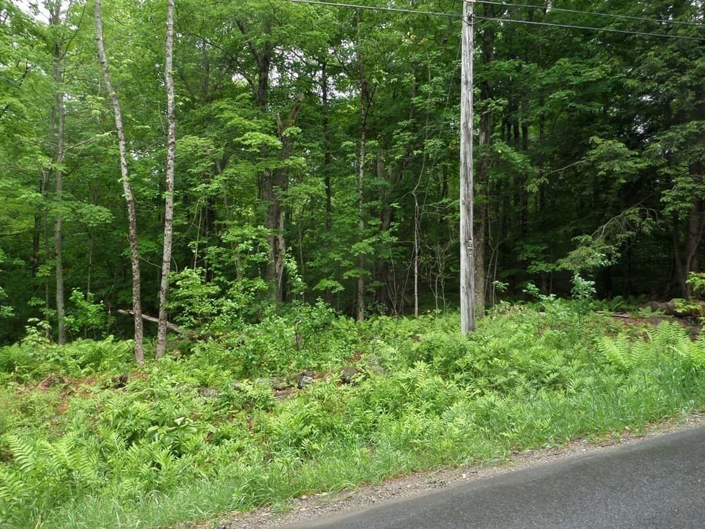 333 Ranney Corner Rd, Ashfield MA 01330 photo 8