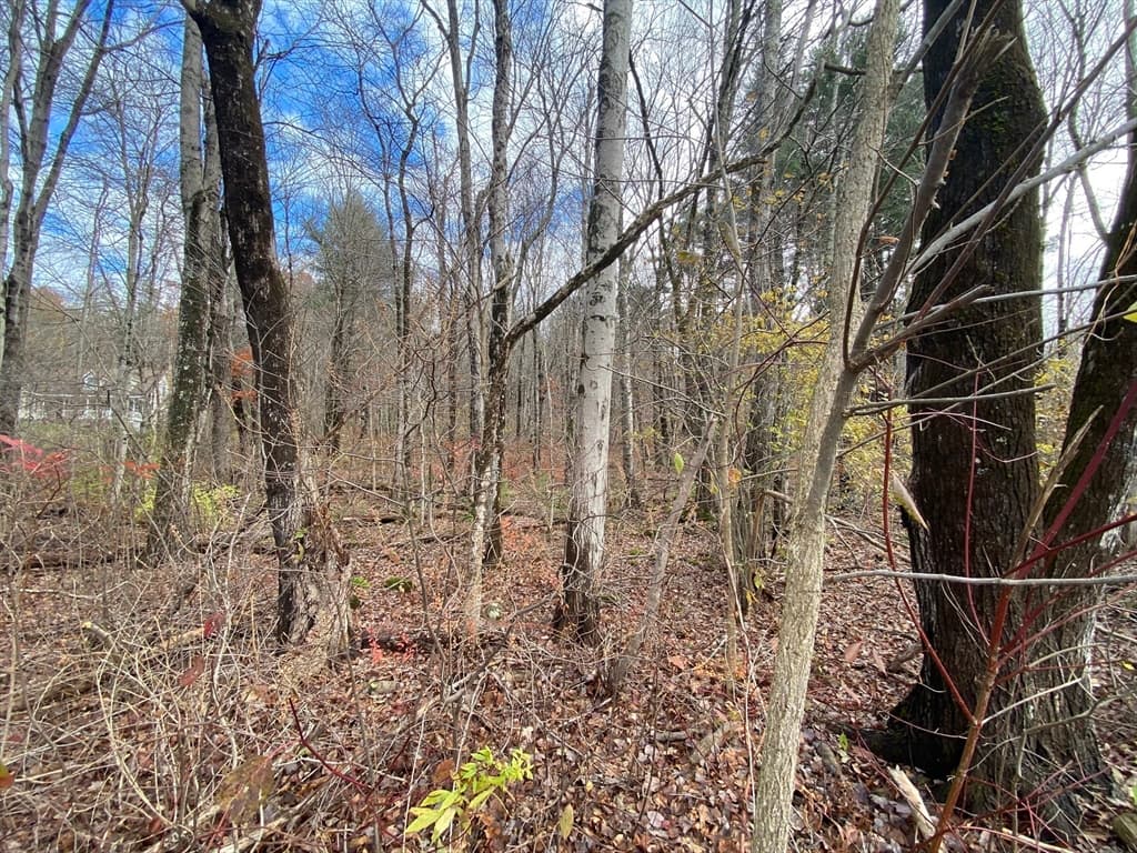 Lot 3 Washington Rd, Brimfield MA 01010 photo 2