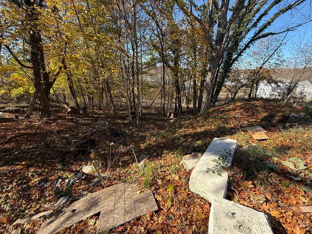 1139 Hyde Park Ave, Boston MA 02136 photo 15