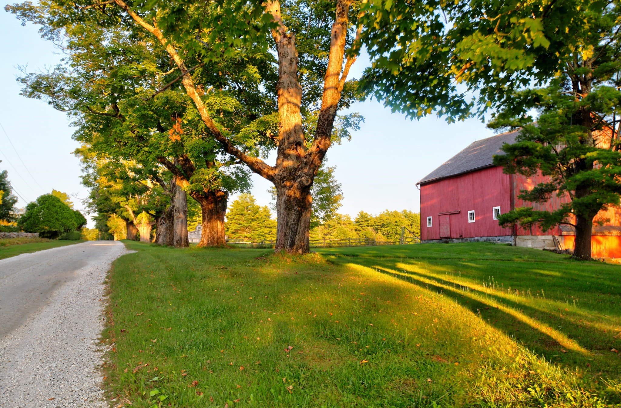 Farm at 764 East Hill Road, New Marlboro MA 01230, New Marlboro, photo 2 of 42