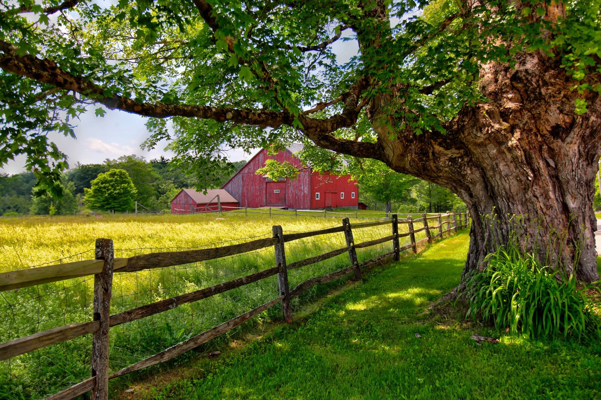 Farm at 764 East Hill Road, New Marlboro MA 01230, New Marlboro, photo 12 of 42