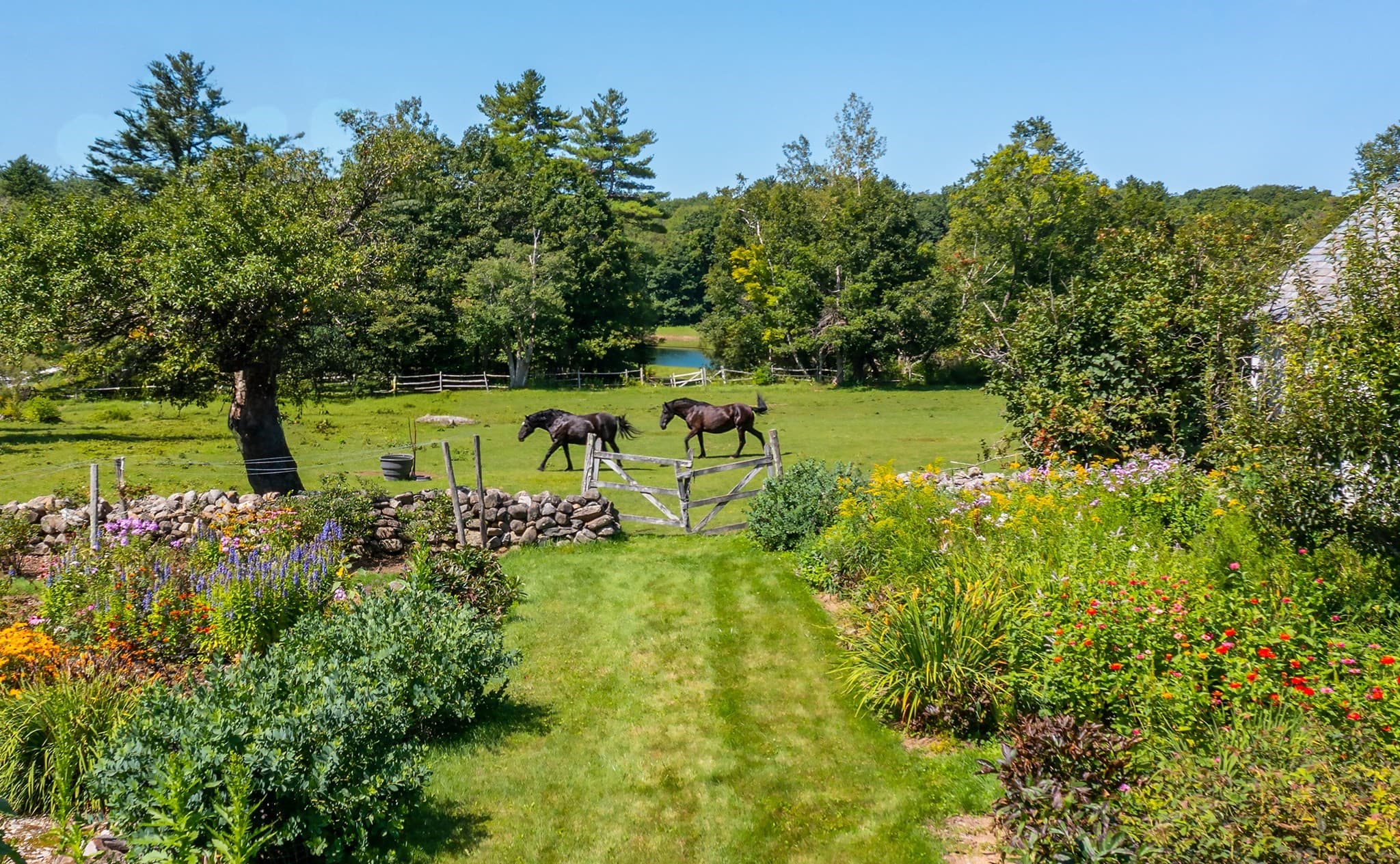 Farm at 764 East Hill Road, New Marlboro MA 01230, New Marlboro, photo 3 of 42
